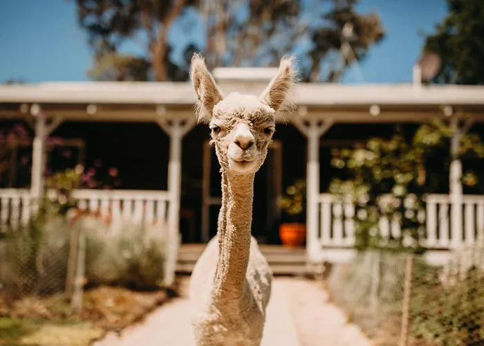 Margaret River Holiday Cottages