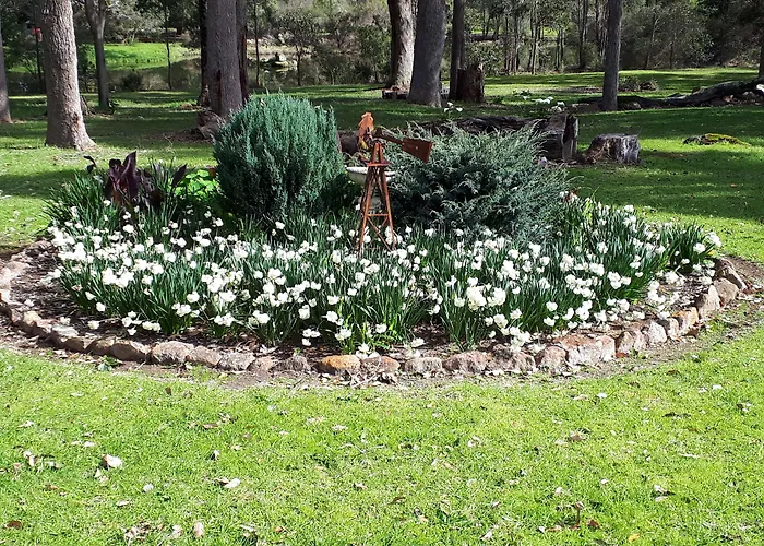 Hotel with view: Marri Lodge